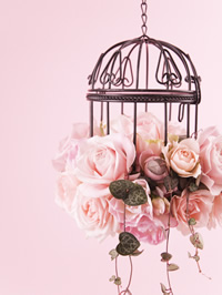 �H����Ƃ�